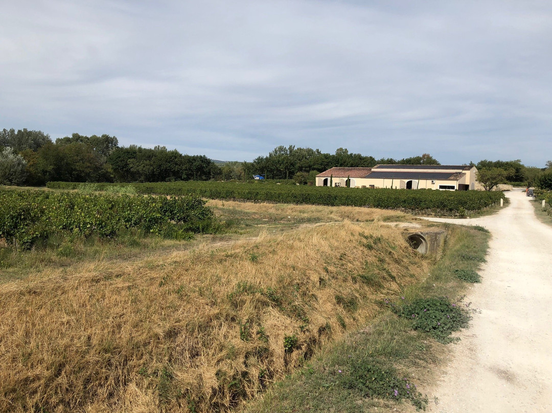Domaine La Garelle景点图片