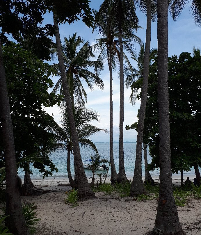 Bocas del Mar Activities景点图片