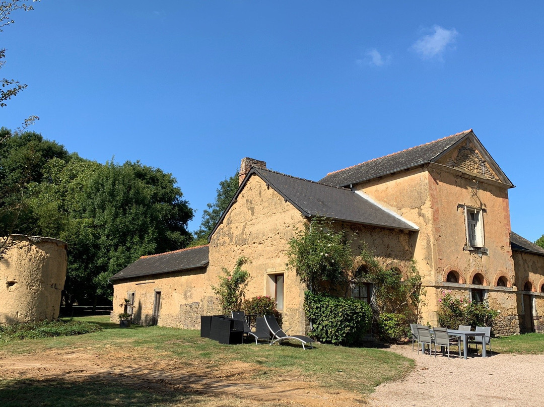 Chateau du Pin主图