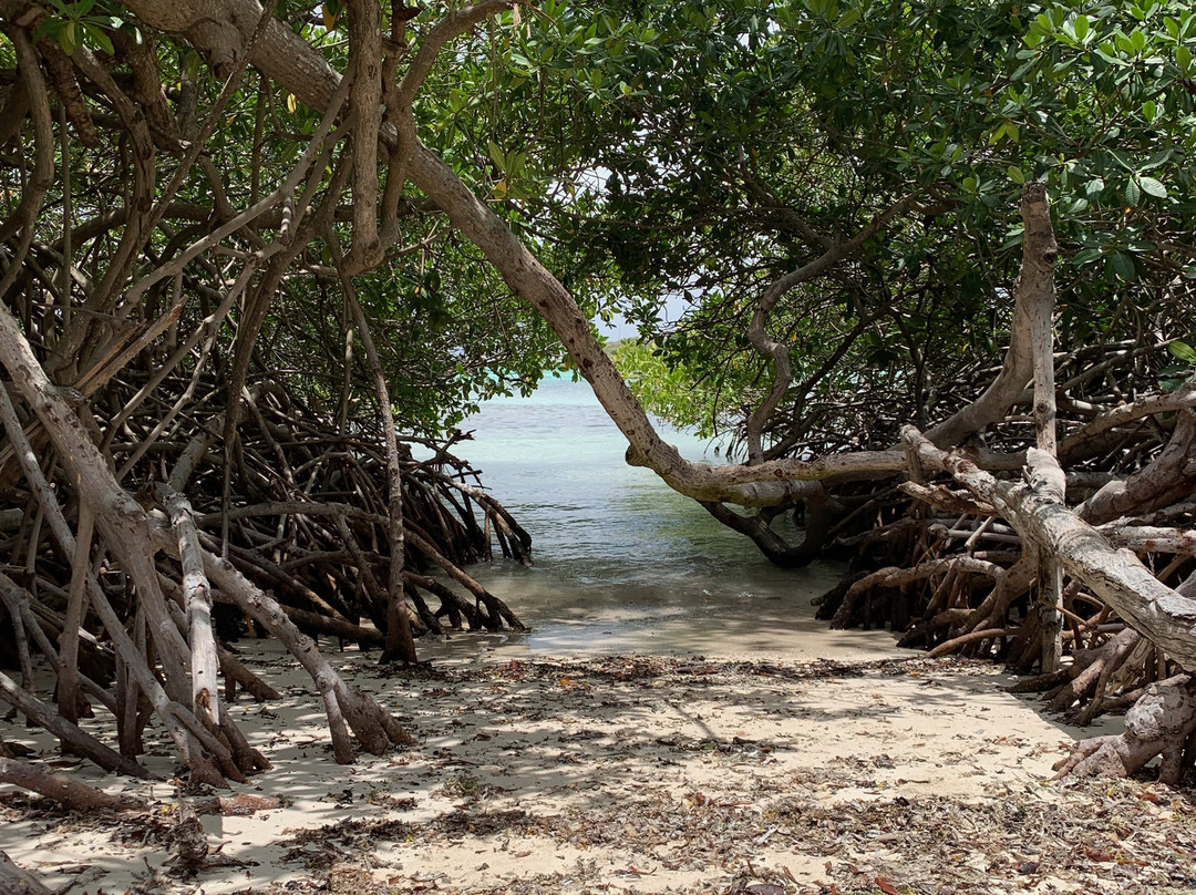 Mangel Halto Beach-萨瓦内塔必去景点
