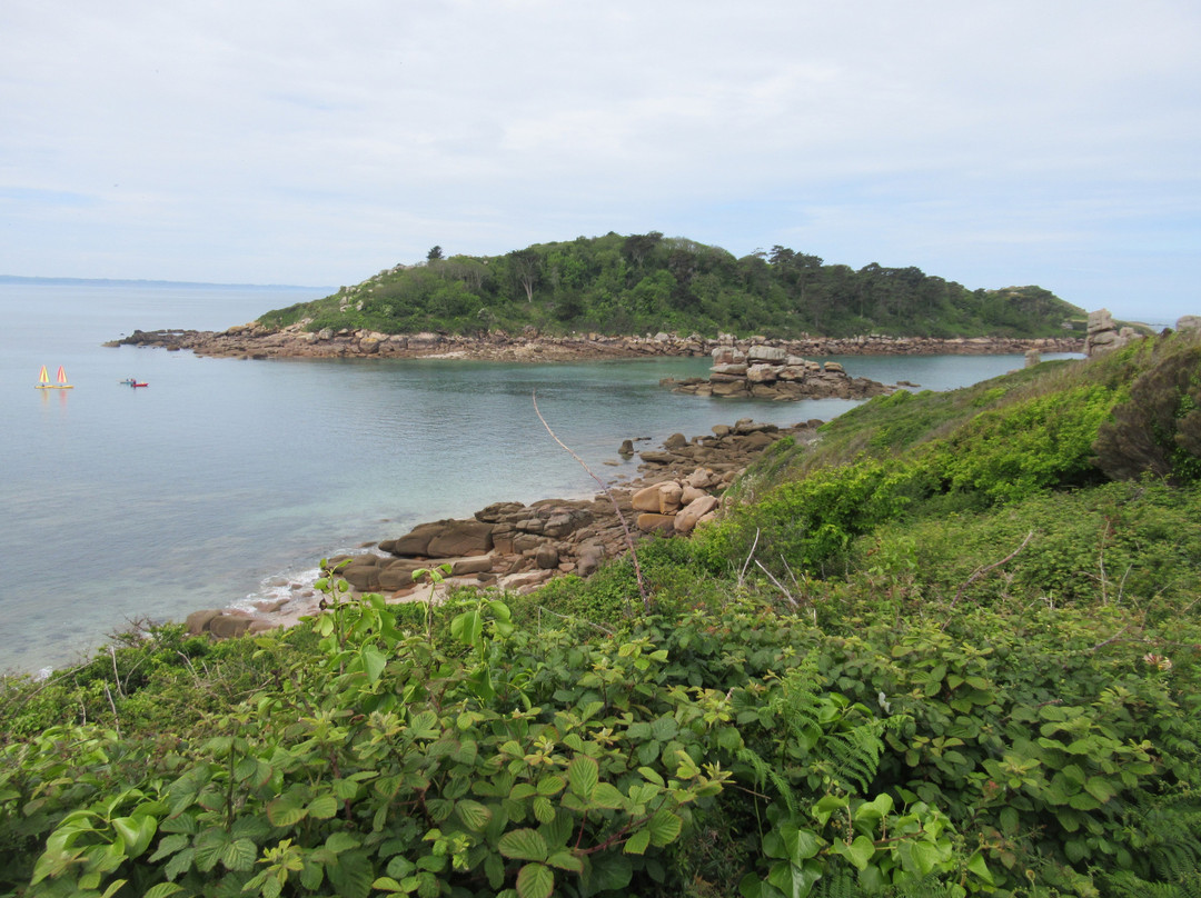 Ile Milliau