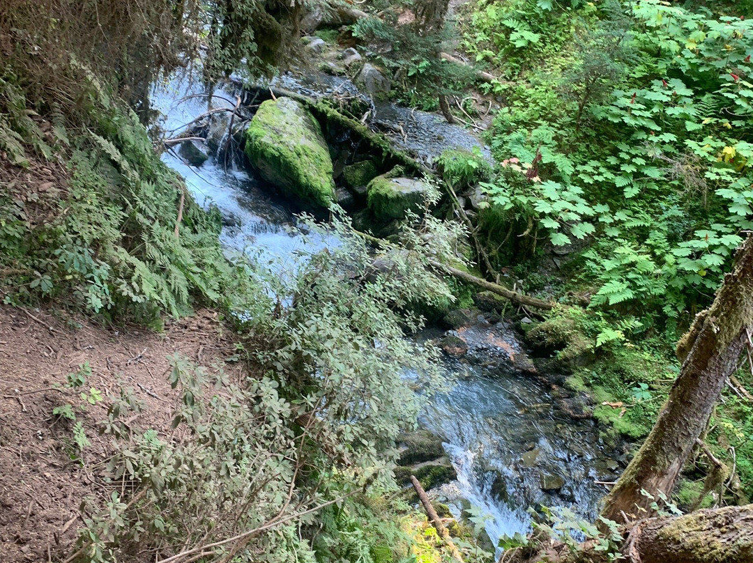 Virgin Creek Falls Trail景点图片