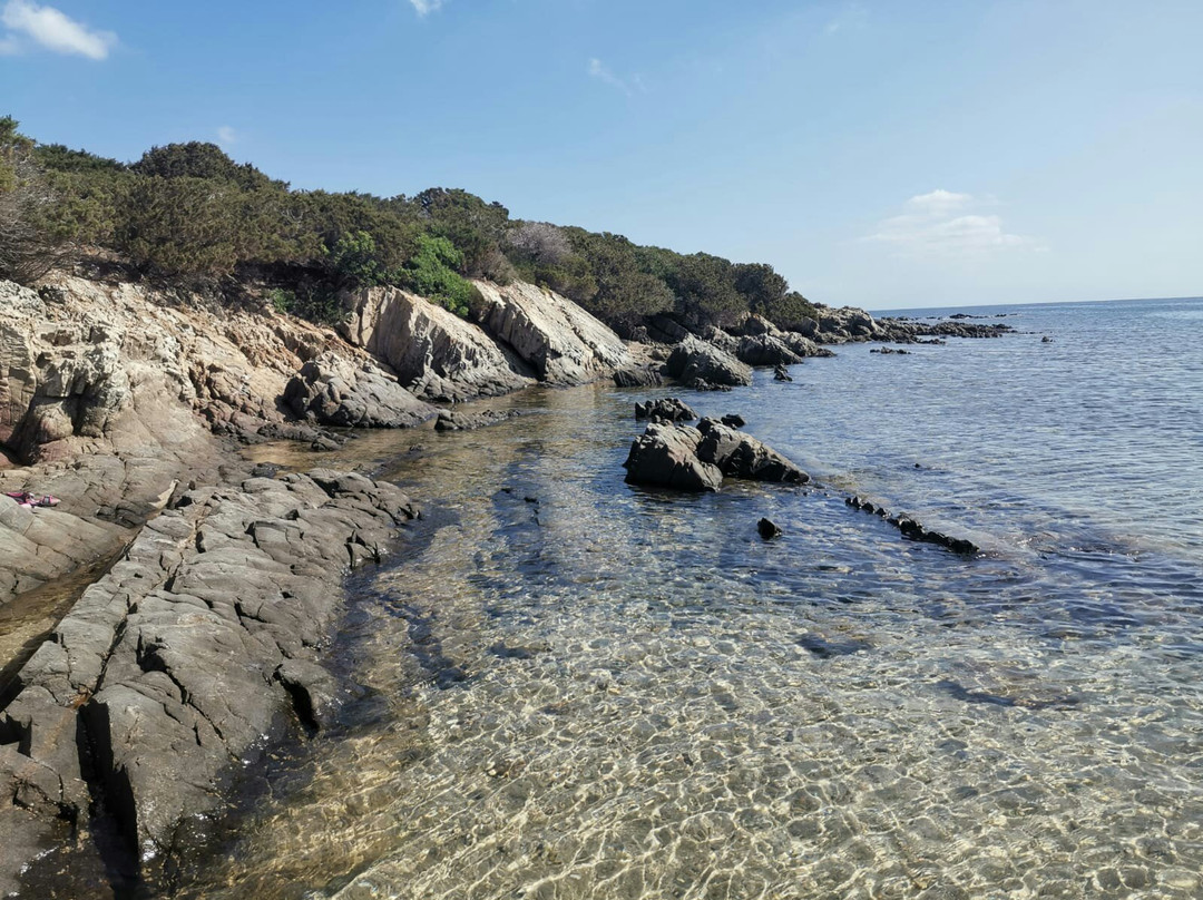 Spiaggia Cala Lupo景点图片