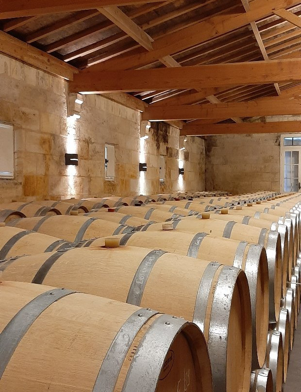 Château Jean Faure Grand Cru Classé景点图片