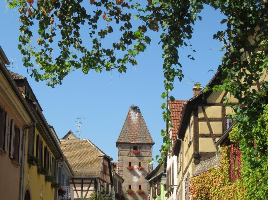 Village d'Ammerschwihr景点图片