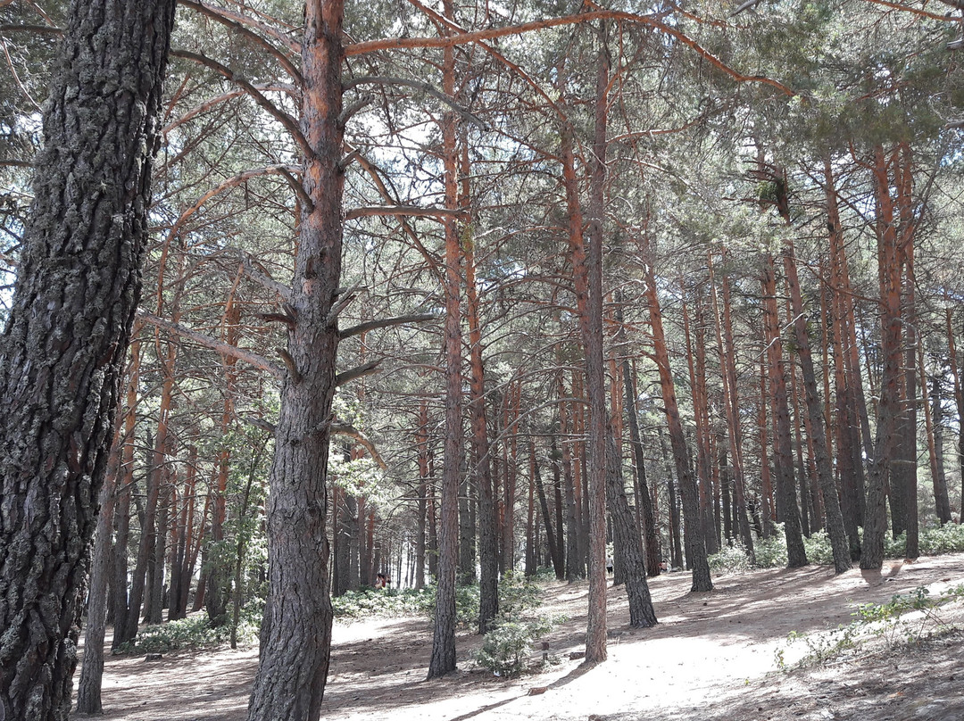 Playa Pita-索里亚省必去景点