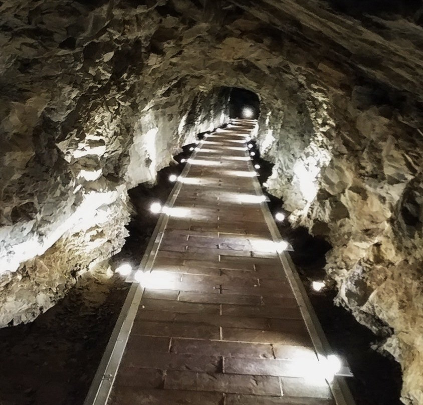 Wine Tunnel