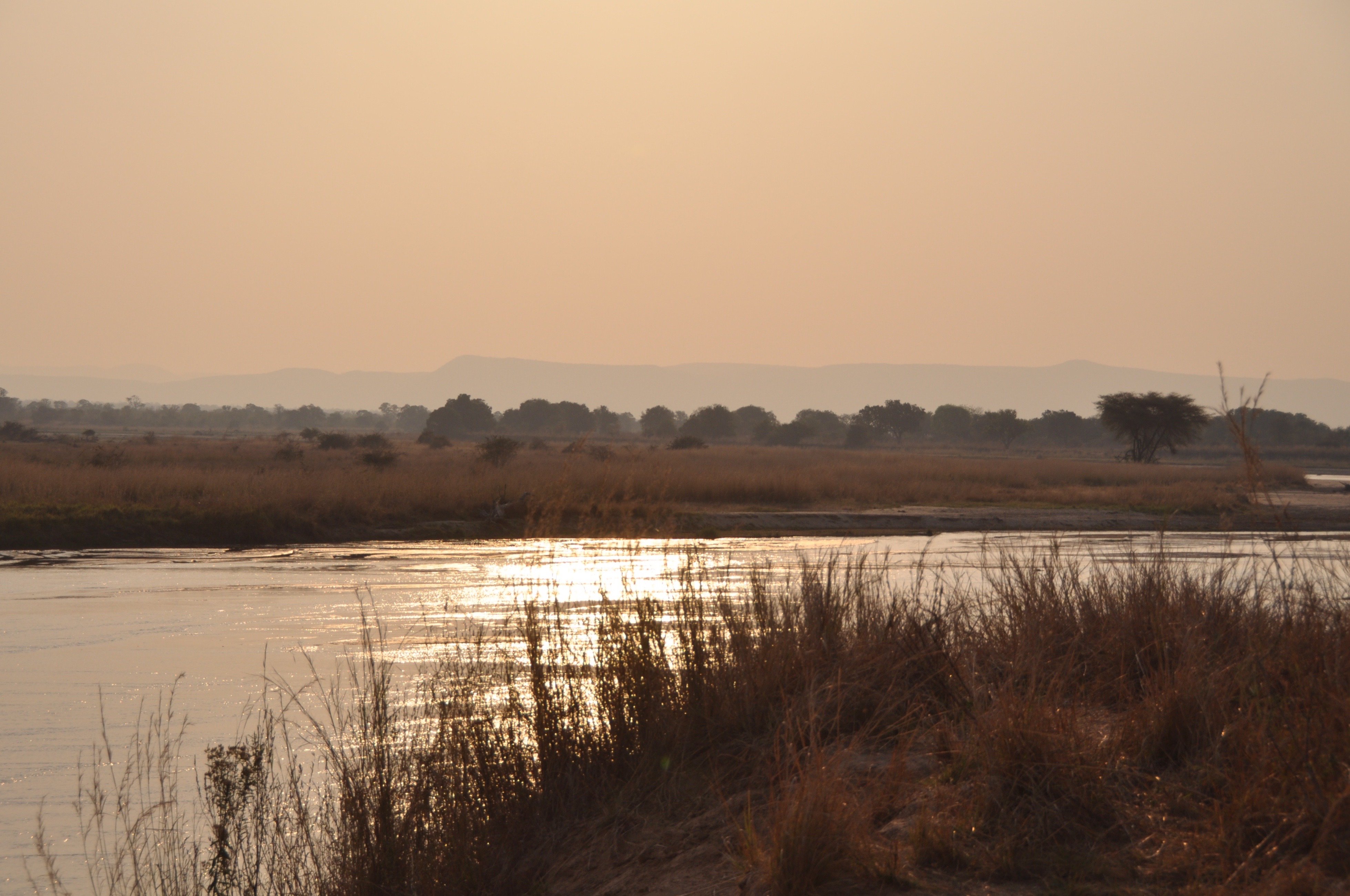 Buffalo Camp-酒店景观