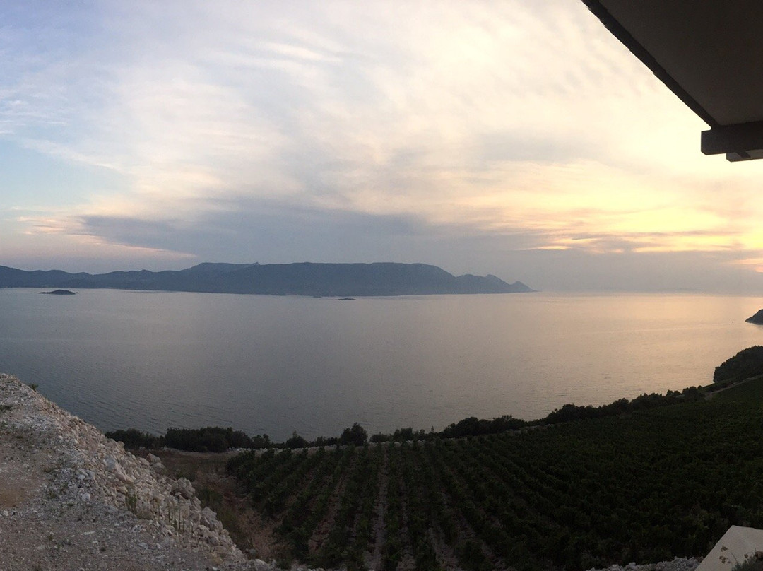 Terra Madre Winery景点图片