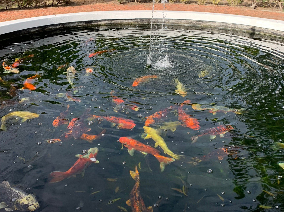 Vine Guesthouse主图