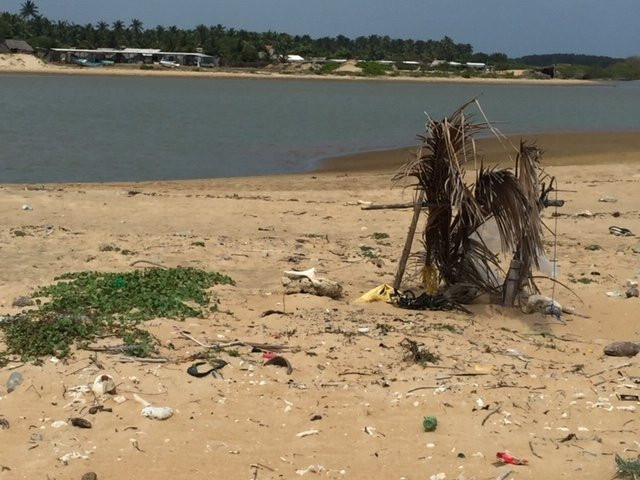 Blue Whale Beach Resort主图