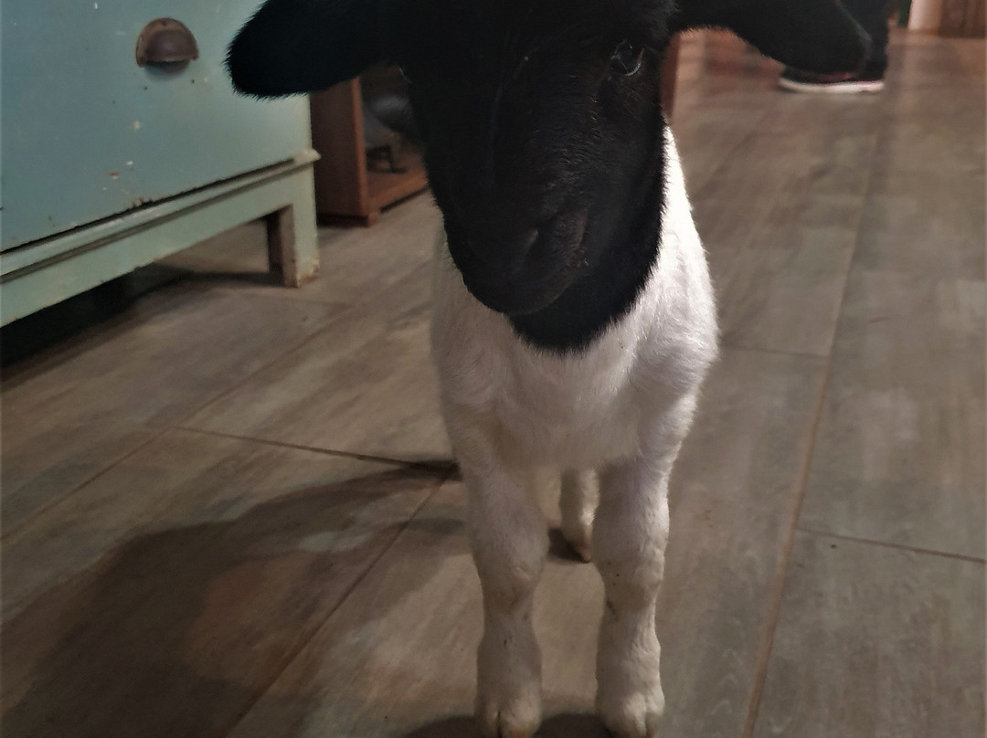 Welvanpas-惠灵顿必去景点