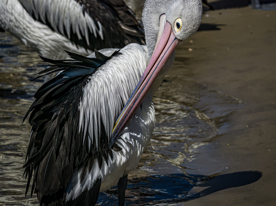 Ian Dipple Lagoon-拉布拉多必去景点