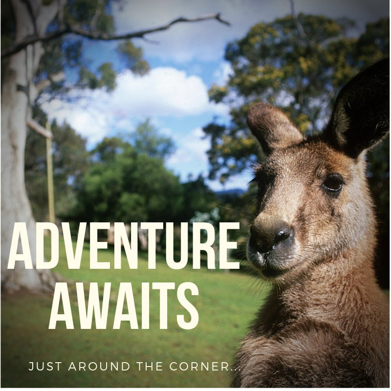 Foothills Conference Centre主图