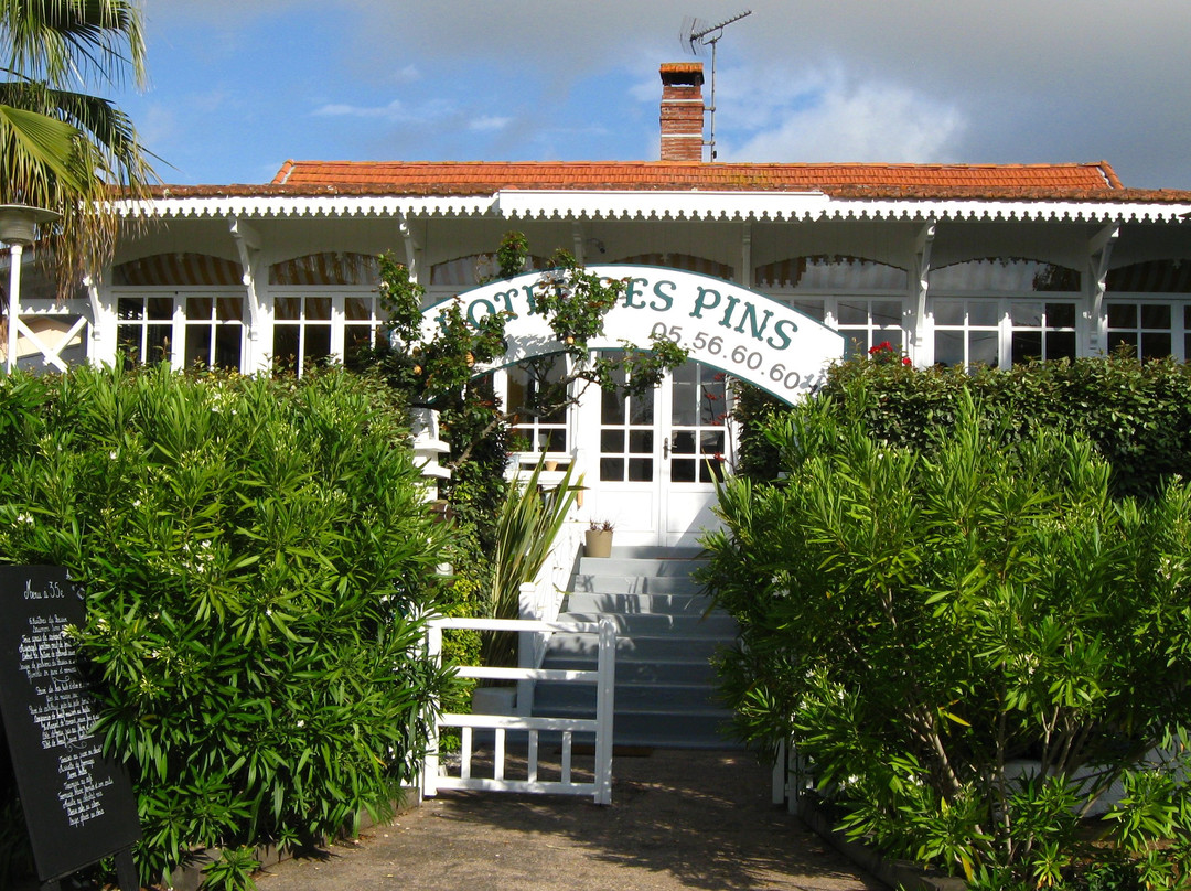 Hôtel Des Pins Cap Ferret主图