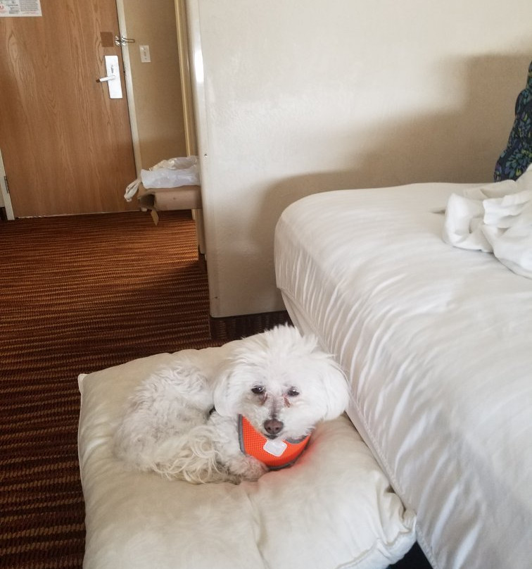 First Choice Inn主图