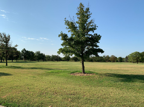 Lake Wichita Park-威奇托福尔斯必去景点