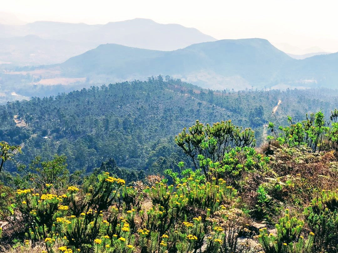 Eastern Highlands and Mutare Tours景点图片