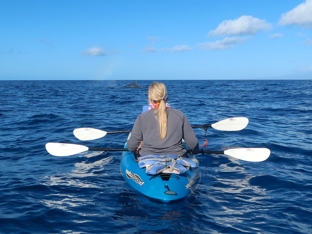 Paddle On! Maui Private Tours-Makena必去景点