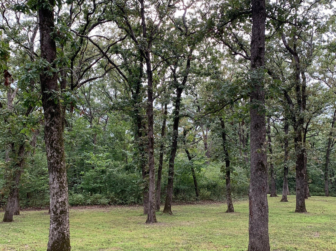 Knob Noster State Park景点图片