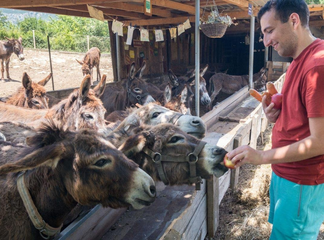 Meanderbug-科托尔必去景点