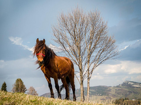 Inside Romania-Magura必去景点