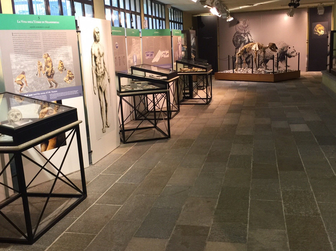 Museo di Archeologia e Paleontologia "Carlo Conti"-Borgosesia必去景点
