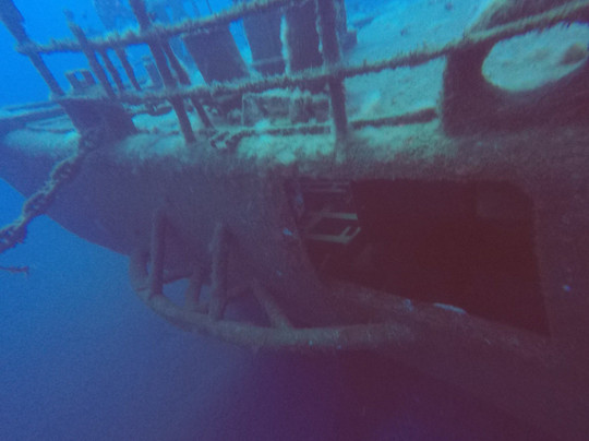 Scuba Madeira-沙尔必去景点