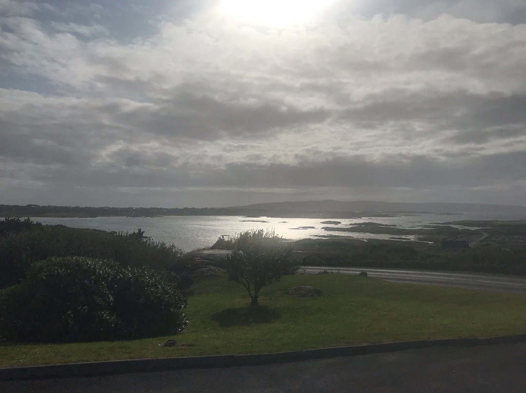 The Viking House Hotel主图