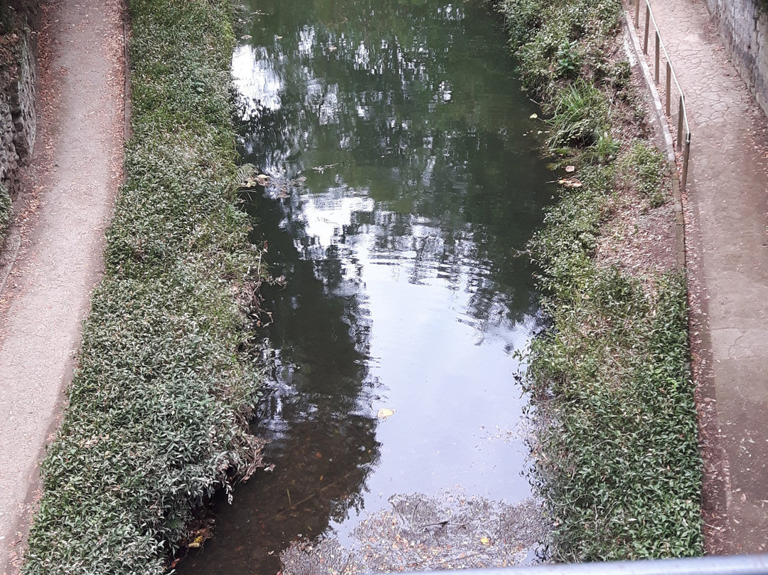 Bagno di Venere景点图片