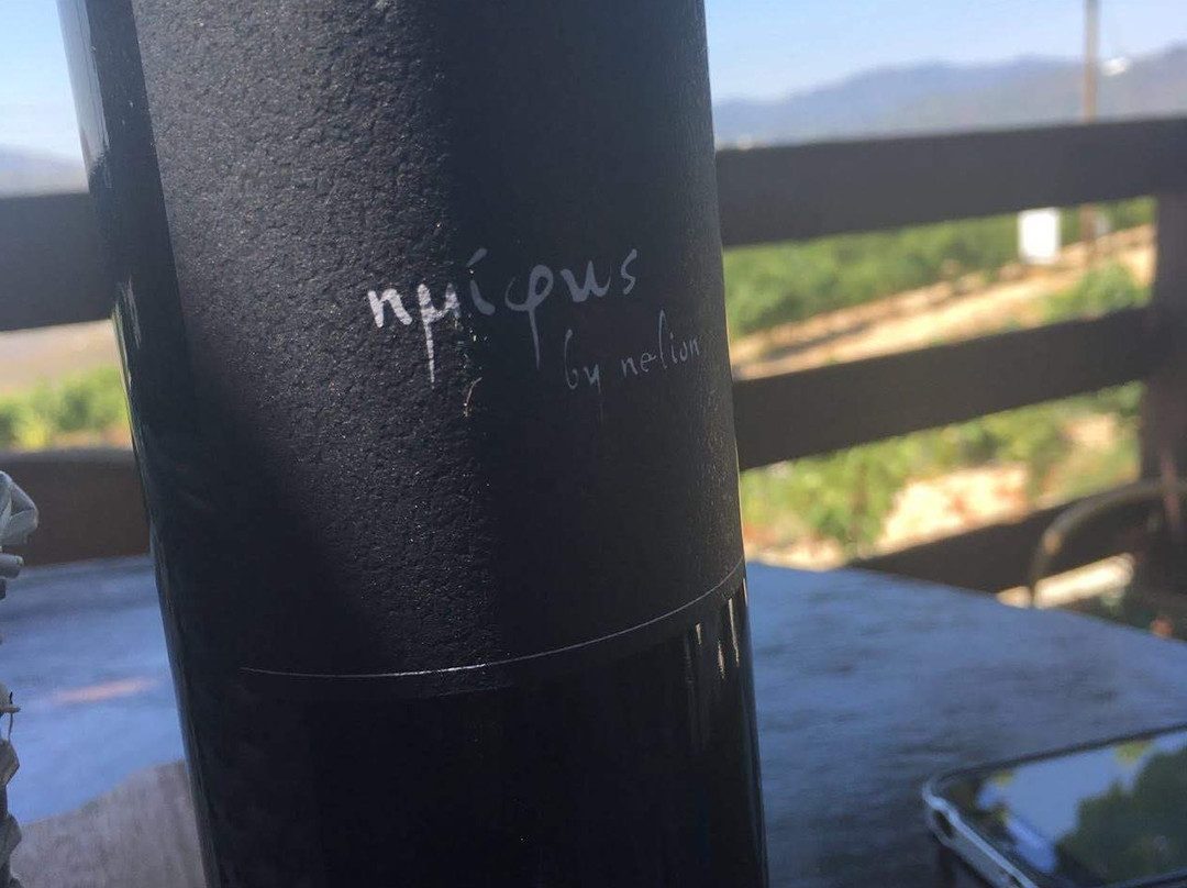 Nelion Winery-Praitori必去景点