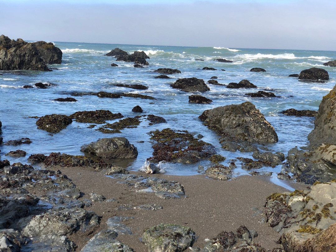 Lost Coast Trail景点图片