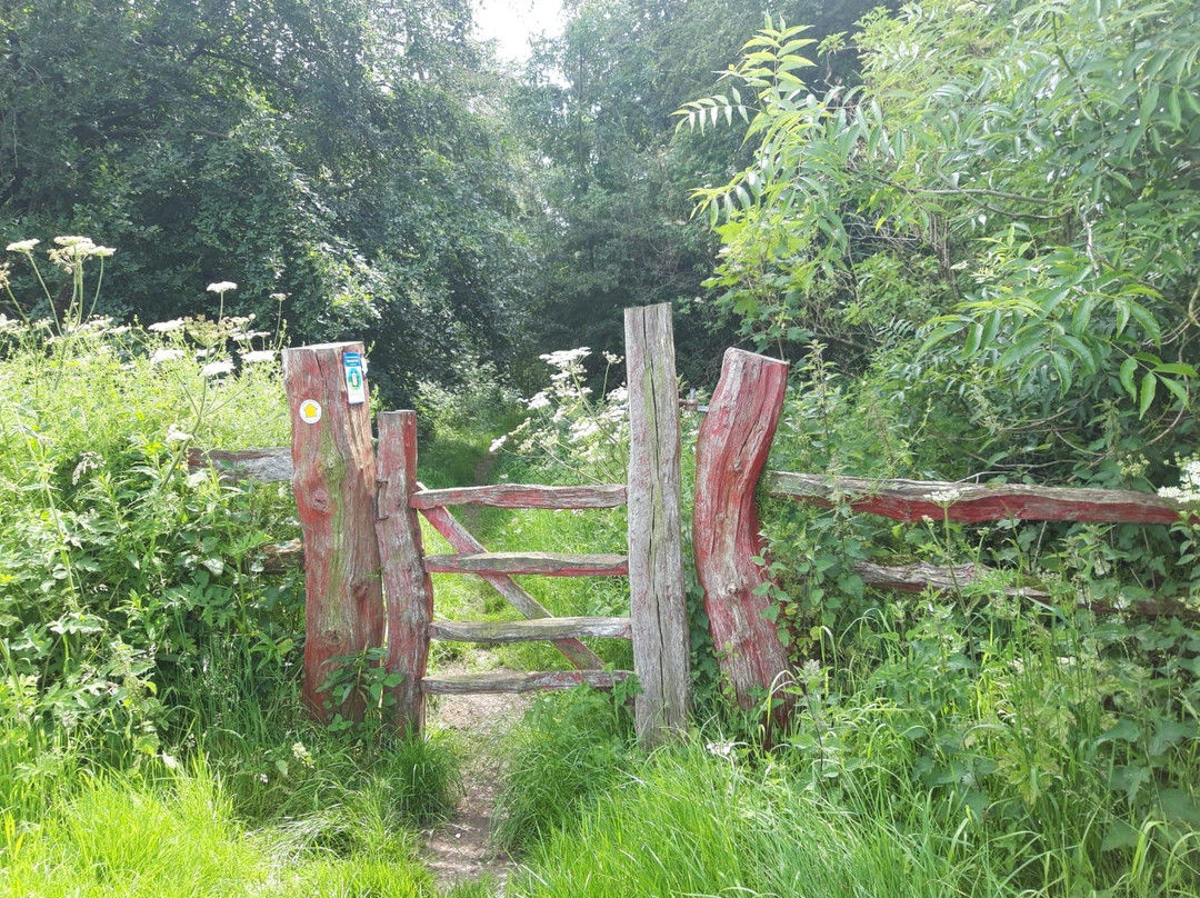 Wolds Way National Trail景点图片