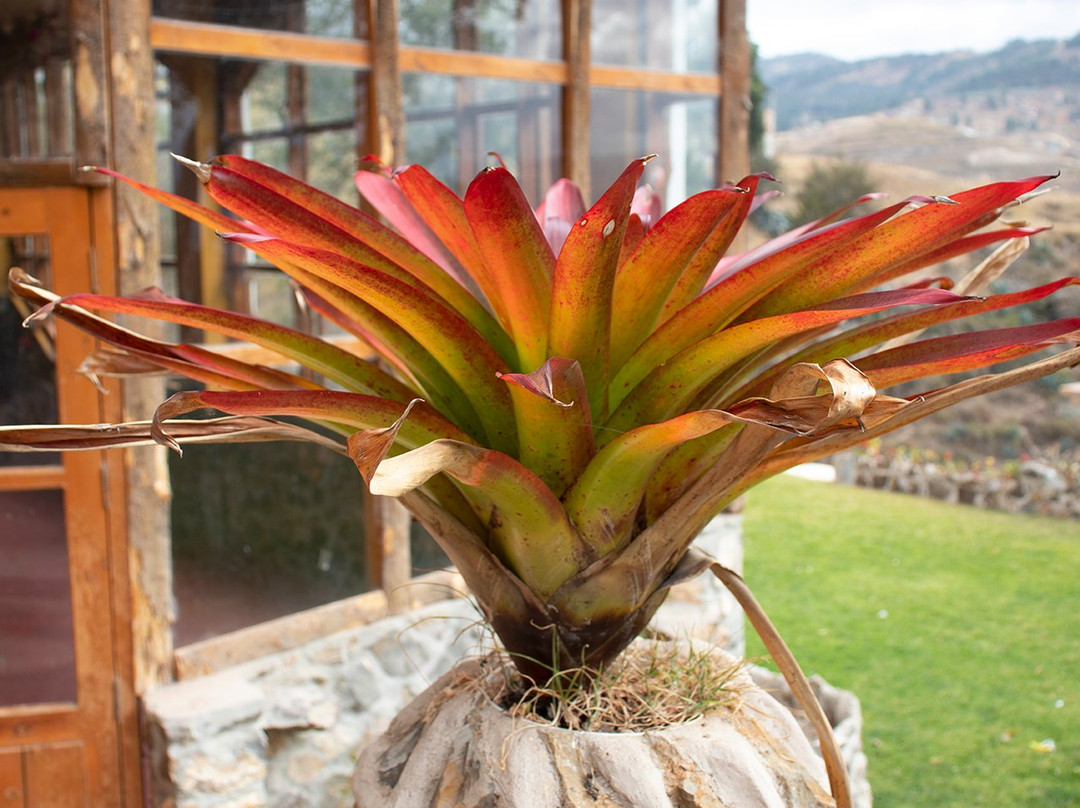 Hacienda San Vicente主图