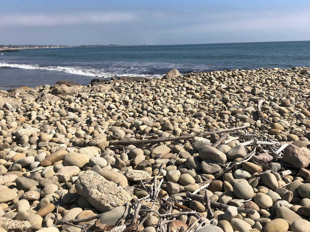 San Buenaventura State Beach景点图片