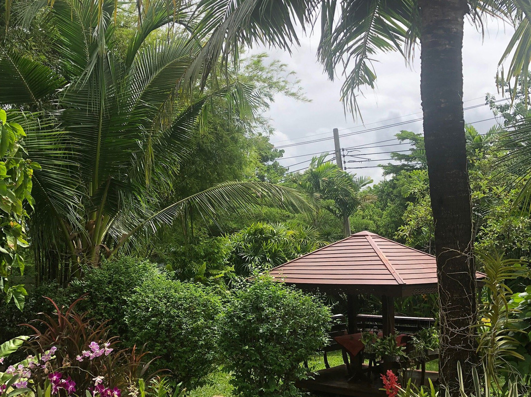 Villa Volpi Bed & Breakfast主图