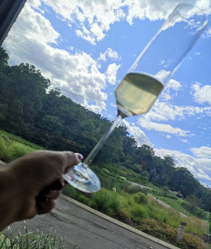 Magic Winery Bus景点图片