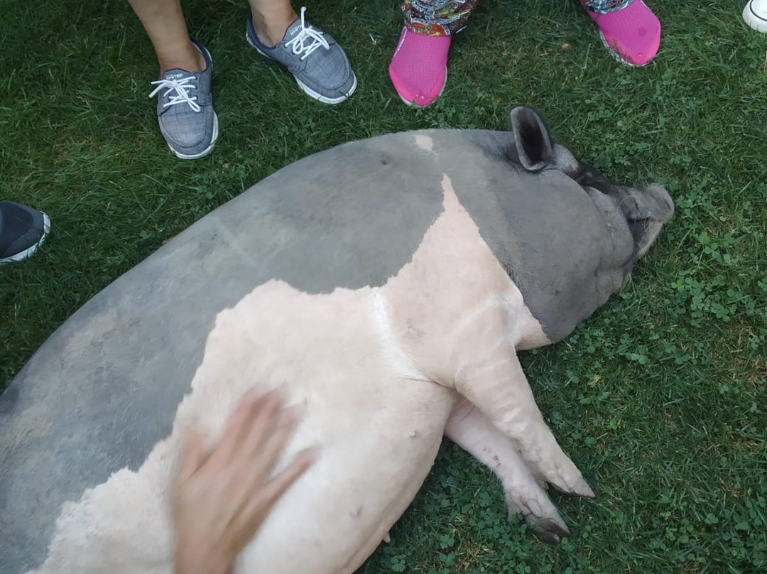 Larrayoz旅游攻略图片