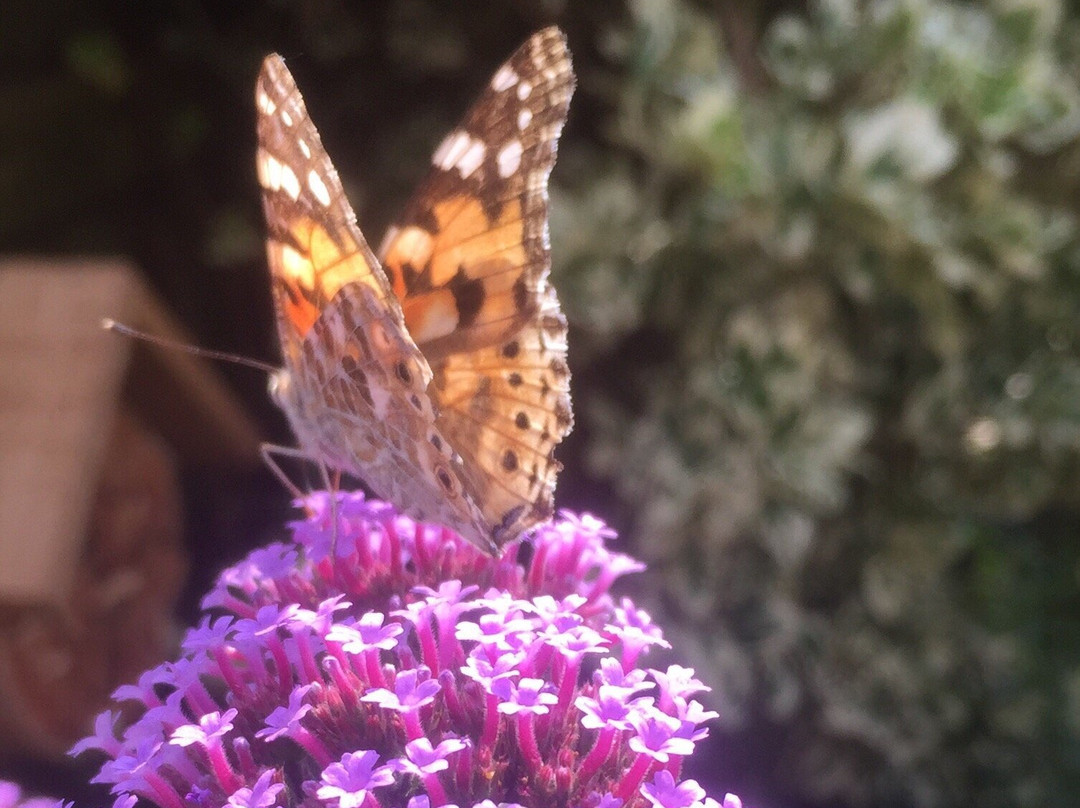 Moore Nature Reserve-沃灵顿必去景点