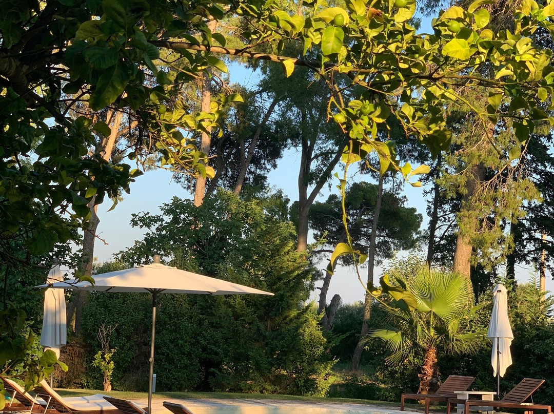 Masseria San Domenico Oria Boutique B&B主图