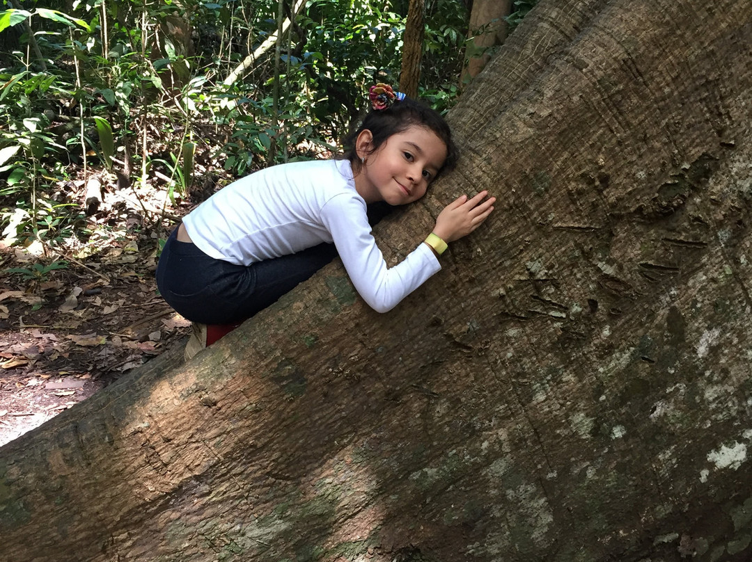 Floresta Nacional de Tapajos-Santarem必去景点
