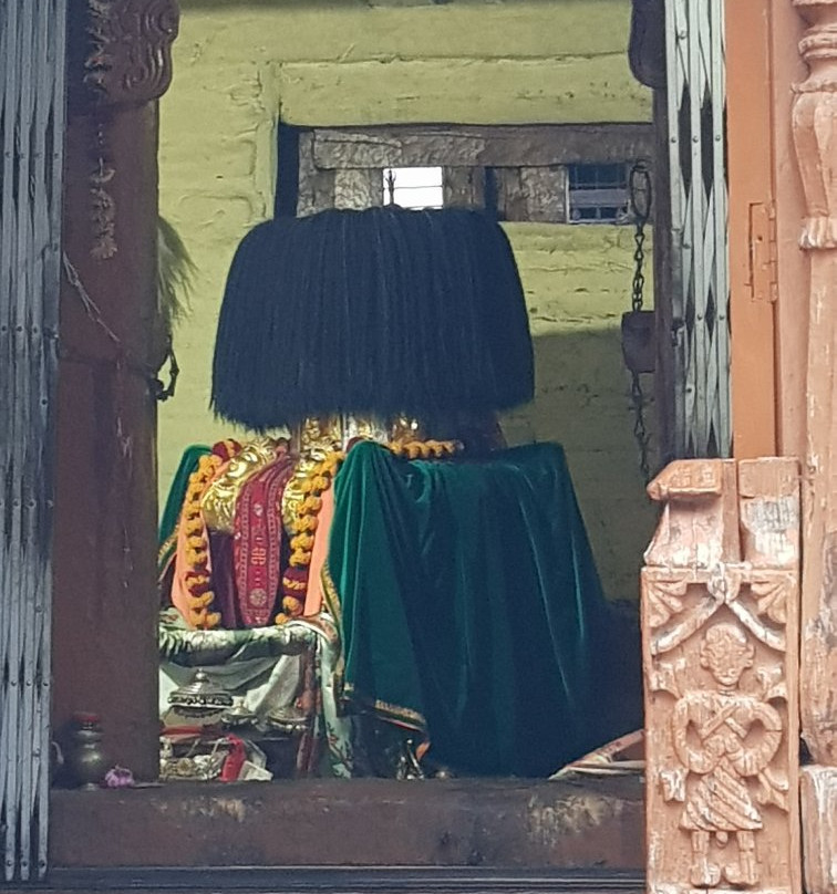 Narayan-Nagini Temple景点图片