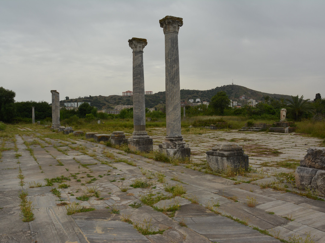 Musee des Ruines d' Hippone景点图片