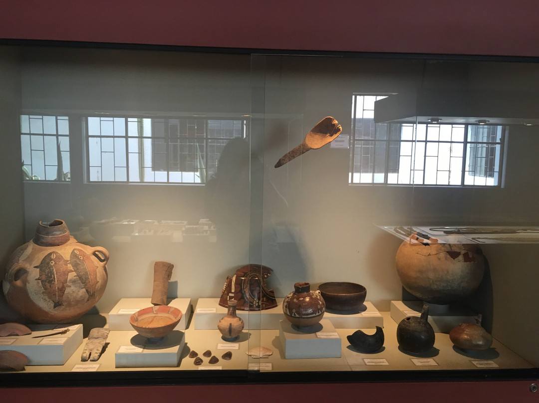Didactic Museum Antonini (Museo Antonini)景点图片