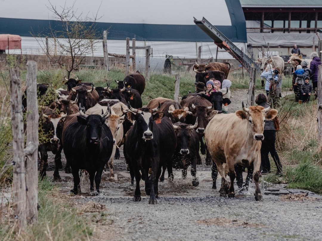 Hawthorne Valley Farm-Ghent必去景点
