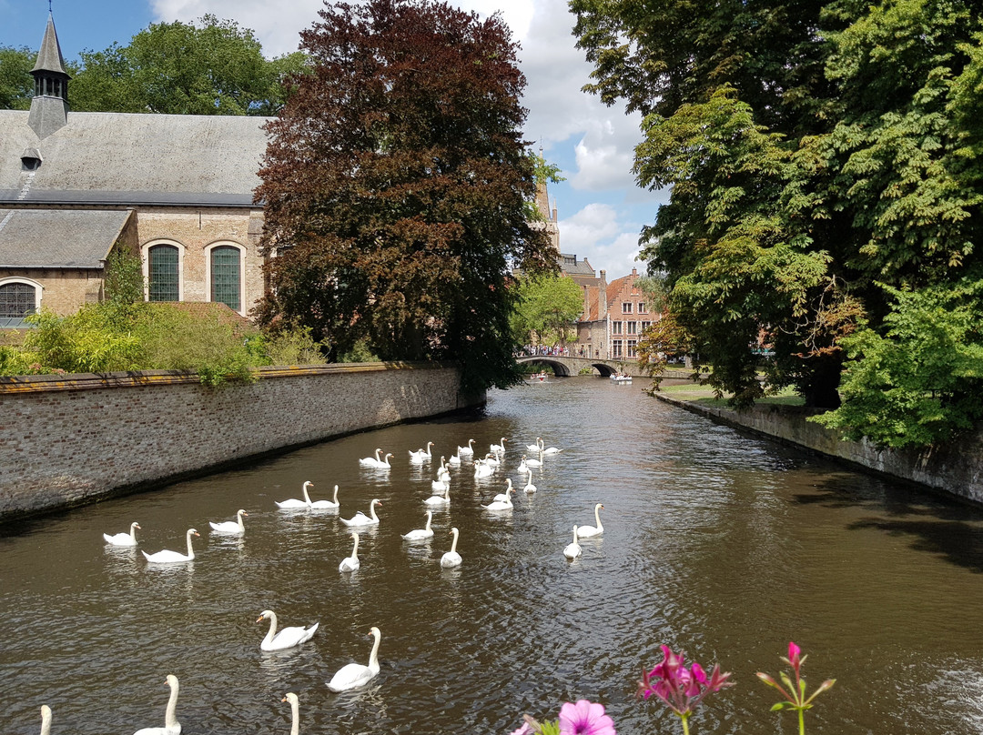 Viva' Bruges Free Tours景点图片