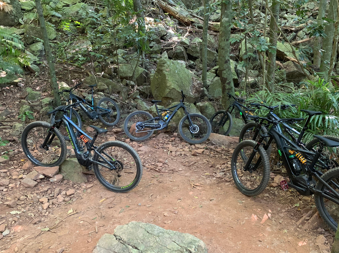 Pump 'n' Pedals-凯恩斯必去景点