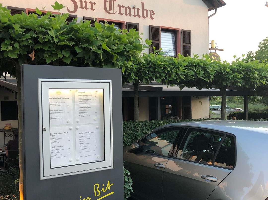 Hotel Zur Traube主图