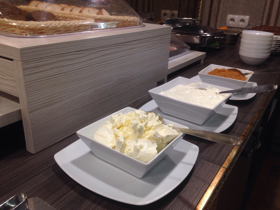 Straseni酒店住宿-纳塔利别墅酒店