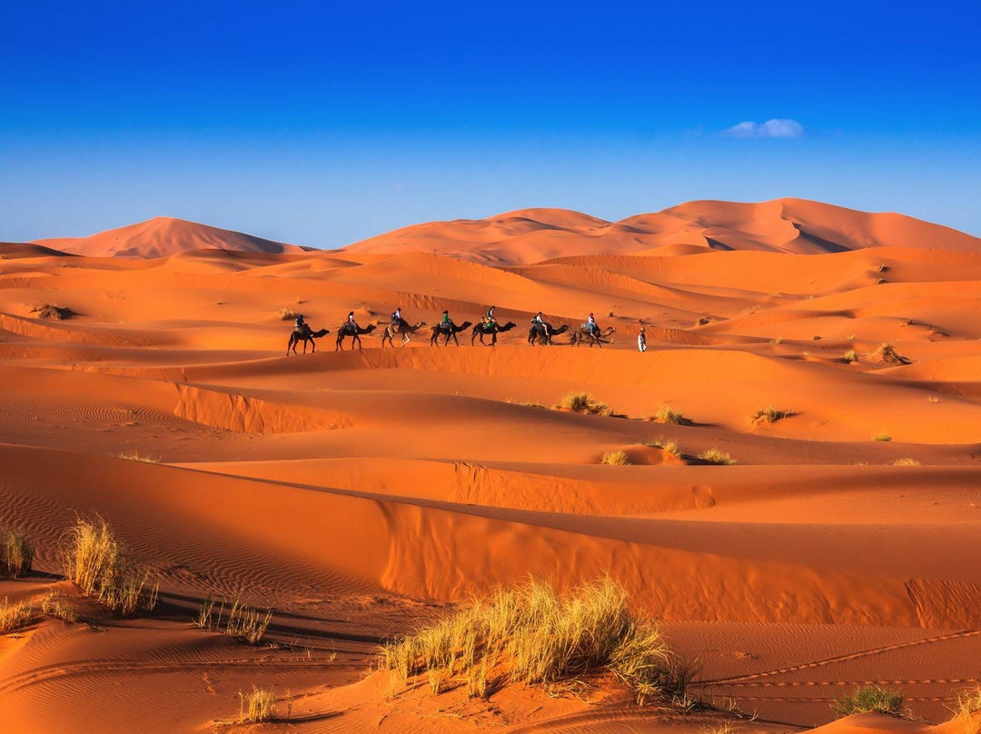 Explore Morocco Sahara景点图片
